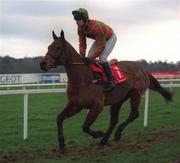 9 January 1999; Polar Prospect with Glenn Tormey up canter to the start for the Ladbroke Hurdle at Leopardstown Racecourse in Dublin. Photo by Ray McManus/Sportsfile