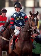 19 March 1998: Jockey P Hasking and Prince Buck make their way to the start of the 128th Year Of National Hunt Chase Challenge Cup during day two of the Cheltenham Racing Festival at Prestbury Park in Cheltenham, England. Photo by Matt Browne/Sportsfile