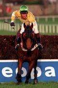 9 January 1999; Ronette with Vincent Keane up jumps the last during the Fitzpatrick Hotel Group Novice Chase at Leopardstown Racecourse in Dublin. Photo by Ray McManus/Sportsfile