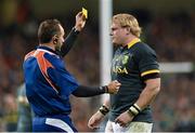 8 November 2014; Adriaan Strauss, South Africa, is shown a yellow card by the referee. Guinness Series, Ireland v South Africa, Aviva Stadium, Lansdowne Road, Dublin. Picture credit: Matt Browne / SPORTSFILE