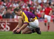 17 June 2007; Niall Murphy, Wexford. Bank of Ireland Leinster Senior Football Championship Quarter-Final, Louth v Wexford, Croke Park, Dublin. Picture credit: Ray McManus / SPORTSFILE
