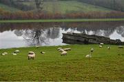 16 November 2014; Soccer pitches in Caledon, Co. Tyrone, under water after overnight rain. Caledon, Co. Tyrone. Picture credit: Ramsey Cardy / SPORTSFILE