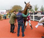 1 November 2014; Trainer Noel Meade along with Road to Riches, with Paul Carbery up,after winning the JNwine.com Champion Steeplechase. Down Royal Racecourse, Lisburn, Co. Down. Picture credit: Oliver McVeigh / SPORTSFILE