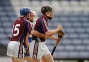 30 June 2007; Galway's Niall Healy celebrates his side's first goal with team-mate Damien Hayes, no. 15. Guinness All-Ireland Hurling Championship Qualifier, Laois v Galway, O'Moore Park, Portlaoise, Co. Laois. Picture credit: Pat Murphy / SPORTSFILE