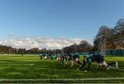 18 November 2014; A general view of Ireland players in action during squad training ahead of their side's Guinness Series match against Australia on Saturday. Ireland Rugby Squad Training, Carton House, Maynooth, Co. Kildare. Picture credit: Barry Cregg / SPORTSFILE