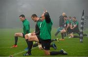 20 November 2014; Ireland's Rory Best during squad training ahead of their side's Guinness Series match against Australia on Saturday. Ireland Rugby Squad Training, Carton House, Maynooth, Co. Kildare. Picture credit: Stephen McCarthy / SPORTSFILE