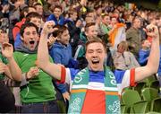 18 November 2014; Supporters cheer after Ireland scored their first goal. International Friendly, Republic of Ireland v USA, Aviva Stadium, Lansdowne Road, Dublin. Picture Credit: Cody Glenn / SPORTSFILE