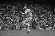 19 September 1982; Offaly goalkeeper Martin Furlong celebrates after Seamus Darby scored their side's late goal at the All-Ireland Senior Football Final match between Kerry and Offaly at Croke Park, Dublin. Photo by Ray McManus/Sportsfile