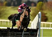 23 November 2014; Milsean, with Bryan Cooper up, jump the last on their way to winning the I.N.H. Stallion Owners European Breeders Fund Maiden Hurdle. Navan Racecourse, Navan, Co. Meath. Picture credit: Barry Cregg / SPORTSFILE