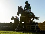 23 November 2014; Glenquest, with Andrew Lynch up, jumps the last on their way to winning the Navan Race Membership Club Now Available Handicap Hurdle. Navan Racecourse, Navan, Co. Meath. Picture credit: Barry Cregg / SPORTSFILE