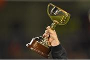 22 November 2014; A general view of the Melbourne Cup trophy. Guinness Series, Ireland v Australia. Aviva Stadium, Lansdowne Road, Dublin. Picture credit: Brendan Moran / SPORTSFILE