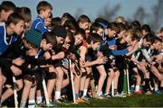 23 November 2014; A general view of the start of the Under 12 Boys race at the GloHealth Inter County & Juvenile Even Age Cross Country Championships. Dundalk Institute of Technology, Dundalk, Co. Louth. Picture credit: Ramsey Cardy / SPORTSFILE