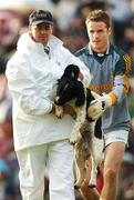 14 July 2007; The Meath goalkeeper Brendan Murphy helps an umpire take a dog off the field. Bank of Ireland All-Ireland Football Championship Qualifier, Round 2, Meath v Fermanagh, Pairc Tailteann, Navan. Photo by Sportsfile