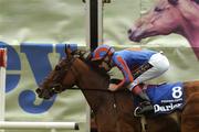 15 July 2007; Peeping Fawn with Johnny Murtagh up, on their way to winning the Darley Irish Oaks. Curragh Racecourse, Co. Kildare. Picture credit: Ray Lohan / SPORTSFILE *** Local Caption ***