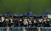 29 November 2014; Leinster supporters observe a minute silence ahead of the game. Leinster Fans at Leinster v Ospreys, Guinness PRO12 Round 9, RDS, Ballsbridge, Dublin. Picture credit: Ramsey Cardy / SPORTSFILE