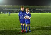 29 November 2014; Bank of Ireland Mascots Niall O'Kane, left, aged 10, and his brother Conor O' Kane, aged 7, ahead of the Guinness PRO12, Round 9, match between Leinster v Ospreys, RDS, Ballsbridge, Dublin. Picture credit: Brendan Moran / SPORTSFILE