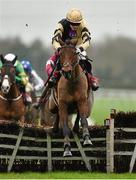 30 November 2014; Nichols Canyon, with Paul Townend up, clears the last on their way to winning The Bar One Racing Royal Bond Novice Hurdle. Horse Racing from Fairyhouse, Co. Meath Picture credit: Barry Cregg / SPORTSFILE