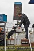 30 November 2014; &quot;Fitzy&quot; the dog with owner and bookmaker Austin Barrett from Dingle, Co. Kerry, ahead of The Bar One Racing Juvenile 3-Y-O Hurdle, Horse Racing from Fairyhouse, Co. Meath Picture credit: Barry Cregg / SPORTSFILE