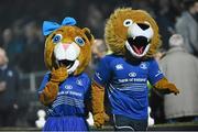 29 November 2014; Leona the Lioness and Leo the Lion Celebrate One Year Anniversary at Guinness PRO12, Round 9, Leinster v Ospreys, RDS, Ballsbridge, Dublin Picture credit: Ramsey Cardy / SPORTSFILE