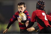 29 November 2014; Action between Athboy RFC and New Ross RFC in the Bank of Ireland's Half-Time Minis. Bank of Ireland's Half-Time Minis at Guinness PRO12, Round 9, match Leinster v Ospreys, RDS, Ballsbridge, Dublin. Picture credit: Ramsey Cardy / SPORTSFILE
