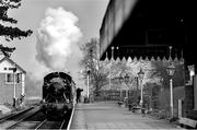 14 March 2014; A steam train arrives into Cheltenham Racecourse train station taking racegoers to the final day of the festival. Cheltenham Racing Festival 2014, Prestbury Park, Cheltenham, England. Picture credit: Ramsey Cardy / SPORTSFILE