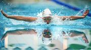 27 April 2014; Gemma Kane, Bangor swimming club, on her way to finishing 4th in the Women's 100m Butterfly Final at the 2014 Irish Long Course National Championships. National Aquatic Centre, Abbotstown, Dublin. Picture credit: Brendan Moran / SPORTSFILE