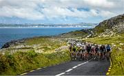 19 May 2014; The peloton make their way to Doonagore, Co. Clare, during Stage 2 of the 2014 An Post RÃ¡s. Roscommon - Lisdoonvarna. Picture credit: Ramsey Cardy / SPORTSFILE