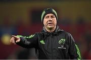 28 November 2014; Munster assistant coach Brian Walsh. Guinness PRO12, Round 9, Munster v Ulster, Thomond Park, Limerick. Picture credit: Stephen McCarthy / SPORTSFILE