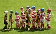 14 July 2014; Players from the Ferns GAA Club, Co. Wexford, wearing red and white shirts, including three year old Paudie Moynihan, third from left, shake hands with the Camross GAA Club, Co. Laois, players after their game. Camross GAA Club, Laois, v Ferns GAA Club, Wexford, Leinster GAA Croke Park Go Games 2014, Croke Park, Dublin. Picture credit: Ray McManus / SPORTSFILE