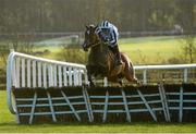 7 December 2014; Rock The World, with Robbie Power up, jumps the last on their way to winning the CBRE Property Advisors Supporting Kilmacud Crokes Rated Novice Hurdle. Punchestown Racecourse, Punchestown, Co. Kildare. Picture credit: Piaras Ó Mídheach / SPORTSFILE