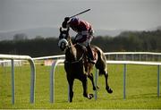 7 December 2014; Don Cossack, with Brian O'Connell up, on their way to winning the John Durkan Memorial Punchestown Steeplechase. Punchestown Racecourse, Punchestown, Co. Kildare. Picture credit: Piaras Ó Mídheach / SPORTSFILE