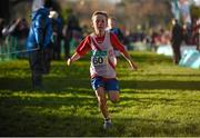7 December 2014; Oisin Kelly, Cranford A.C., Co. Donegal, crosses the finish line to win the Boy's U11 race during the GloHealth Novice and Juvenile Uneven Age Cross Country Championships. Santry Demesne, Santry, Dublin. Picture credit: Pat Murphy / SPORTSFILE