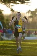 7 December 2014; Peter Lynch, Kilkenny City Harriers AC, celebrates as he crosses the finish line to win the Boy's U19 race at the GloHealth Novice and Juvenile Uneven Age Cross Country Championships. Santry Demesne, Santry, Dublin. Picture credit: Pat Murphy / SPORTSFILE