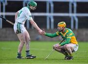 7 December 2014; Henry Shefflin, left, Ballyhale Shamrocks, shakes hands with Peter Healion, Kilcormac Killoughey, at the end of the game. AIB Leinster GAA Hurling Senior Club Championship Final, Ballyhale Shamrocks v Kilcormac Killoughey, O'Moore Park, Portlaoise, Co. Laois. Picture credit: David Maher / SPORTSFILE
