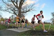 7 December 2014; Competitors, including eventual winner Ben Thistlewood, Leevale AC, 562, in action during the Novice Men's race at the GloHealth Novice and Juvenile Uneven Age Cross Country Championships. Santry Demesne, Santry, Dublin. Picture credit: Pat Murphy / SPORTSFILE