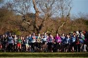 7 December 2014; A view of the start of the Girl's U13  race at the GloHealth Novice and Juvenile Uneven Age Cross Country Championships. Santry Demesne, Santry, Dublin. Picture credit: Pat Murphy / SPORTSFILE