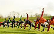 10 December 2014; Munster players including CJ Stander, Paul O'Connell, Johne Murphy, Denis Hurley, Jamie Glynn, and Donncha O'Callaghan, stretch during squad training ahead of their European Rugby Champions Cup 2014/15, Pool 1, Round 4, match against ASM Clermont Auvergne on Sunday. Munster Rugby Squad Training, University of Limerick, Limerick. Picture credit: Diarmuid Greene / SPORTSFILE