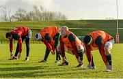 10 December 2014; Munster players, from left to right, Denis Hurley, Johne Murphy, Paul O'Connell and CJ Stander stretch during squad training ahead of their European Rugby Champions Cup 2014/15, Pool 1, Round 4, match against ASM Clermont Auvergne on Sunday. Munster Rugby Squad Training, University of Limerick, Limerick. Picture credit: Diarmuid Greene / SPORTSFILE