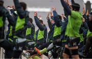 9 December 2014; A general view of Connacht squad training ahead of their European Rugby Challenge Cup match against Bayonne on Saturday. Connacht Rugby Squad Training, The Sportsground, Galway. Picture credit: Diarmuid Greene / SPORTSFILE
