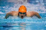 12 December 2014; Clodagh Flood, Tallaght Swimming Club, competing in the Womens 200M Butterfly final at the Irish Short Course Swimming Championships, Day 1. Lagan Valley LeisurePlex, Lisburn, Co. Antrim. Picture credit: Oliver McVeigh / SPORTSFILE