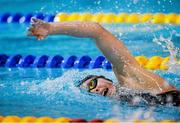 12 December 2014; Antoinette Neamt, Tallaght Swimming Club, on her way to winning the Womens 800M Freestyle final at the Irish Short Course Swimming Championships, Day 1. Lagan Valley LeisurePlex, Lisburn, Co. Antrim. Picture credit: Oliver McVeigh / SPORTSFILE