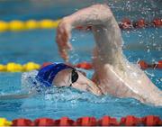 13 December 2014; Brendan Gibbons, Athlone Swimming Club, competing in the Mens 1500M Freestyle final during Day 2 of the Irish Short Course Swimming Championships. Lagan Valley LeisurePlex, Lisburn, Co. Antrim. Picture credit: Oliver McVeigh / SPORTSFILE