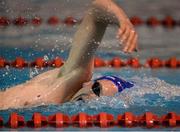 13 December 2014; Brendan Gibbons, Athlone Swimming Club, competing in the Mens 1500M Freestyle final during Day 2 of the Irish Short Course Swimming Championships. Lagan Valley LeisurePlex, Lisburn, Co. Antrim. Picture credit: Oliver McVeigh / SPORTSFILE