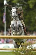 10 August 2007; Capt. Shane Carey, on River Foyle, jumps the last during the second round of the Samaung Super League Aga Khan Nations Cup. Failte Ireland Dublin Horse Show, RDS Main Arena, RDS, Dublin. Picture credit; Matt Browne / SPORTSFILE