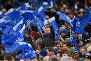 13 December 2014; A Leinster supporter celebrates a score. European Rugby Champions Cup 2014/15, Pool 2, Round 4, Leinster v Harlequins. Aviva Stadium, Lansdowne Road, Dublin Picture credit: Stephen McCarthy / SPORTSFILE