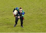 13 December 2014; Action from the Bank of Ireland's Half-Time Minis game featuring Westmanstown Taggers and Seapoint RFC. European Rugby Champions Cup 2014/15, Pool 2, Round 4, Leinster v Harlequins. Aviva Stadium, Lansdowne Road, Dublin. Barry Cregg / SPORTSFILE