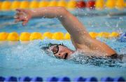 14 December 2014; Antoinette Neamt, Tallaght Swimming Club, on her way to setting a new Irish record in the Womens 1500M Freestyle final during Day 3 of the Irish Short Course Swimming Championships. Lagan Valley LeisurePlex, Lisburn, Co. Antrim. Picture credit: Oliver McVeigh / SPORTSFILE