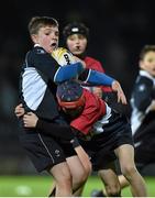 19 December 2014; Action during the Bank of Ireland Half-Time Minis between Ardee RFC and Old Wesley RFC. Guinness PRO12, Round 10, Leinster v Connacht. RDS, Ballsbridge, Dublin. Picture credit: Matt Browne / SPORTSFILE