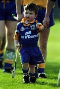 24 October 1999; Two year old Colm Fitzgerald holds the hand of his father, the Sixmilebridge goalkeeper David Fitzgerald, in the pre-match parade before the Clare County Senior Club Hurling Championship Final match between Sixmilebridge and St Joseph's Doora Barefield at at Hennessy Park, Miltown Malbay, Clare. Photo by Damien Eagers/Sportsfile