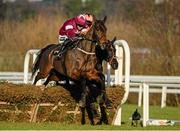 28 December 2014; Lieutenant Colonel, left, with Bryan Cooper up, clears the last on their way to winning the Squared Financial Christmas Hurdle ahead of eventual second place Jetson, with Davy Russell up. Leopardstown Christmas Festival, Leopardstown, Co. Dublin. Photo by Sportsfile